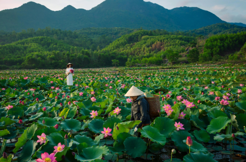 Top 7 địa điểm du lịch 2 ngày 1 đêm được yêu thích nhất tại miền Bắc