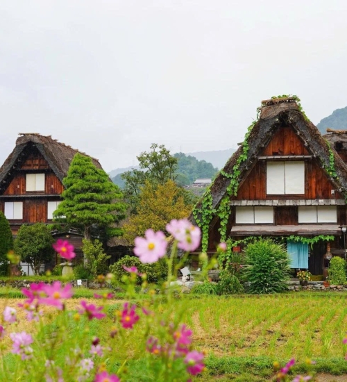 HÀ NỘI – LÀNG CỔ SHIRAKAWAGO – PHÚ SĨ - TOKYO 6N5Đ