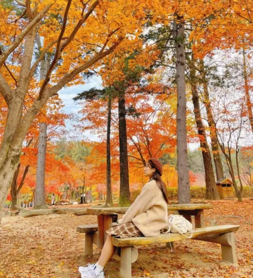SEOUL – NAMI - EVERLAND -PHỐ SEONG SU DONG - THƯ VIỆN STARFIELD-LÀNG CỔ NAMSAN HANOK-THÁP TRUYỀN HÌNH NAM SAN